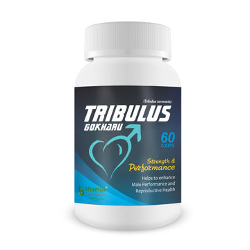 Bhumija Lifesciences Tribulus Gokharu 60 Capsules